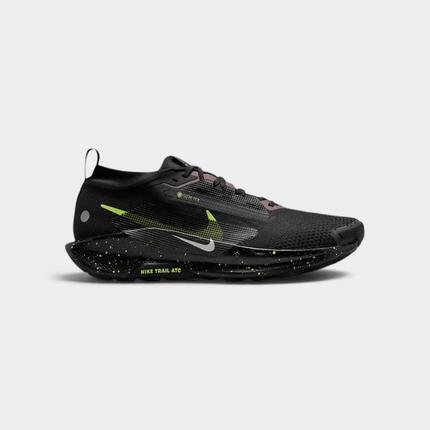 Nike Pegasus Trail 5 GORE-TEX (Men)