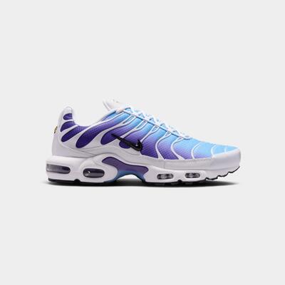 Nike Air Max Plus White Gradient Blue