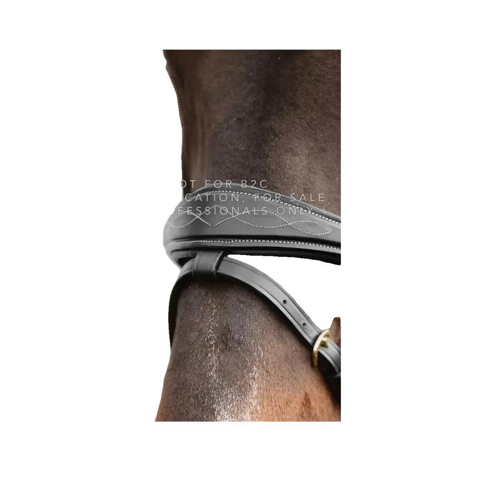 Anatomische gecombineerde bit voor paard met kettingen Dy'on 2/2