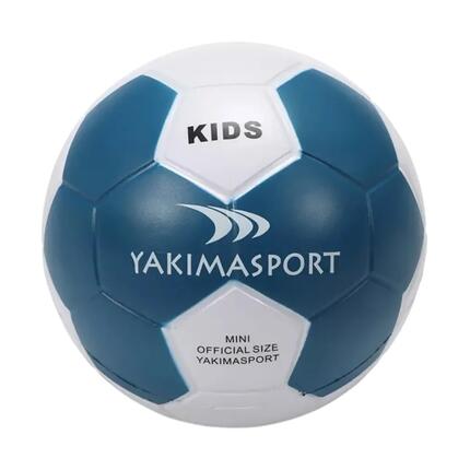 Ballon De Foot (Blanc / Bleu) Taille 3
