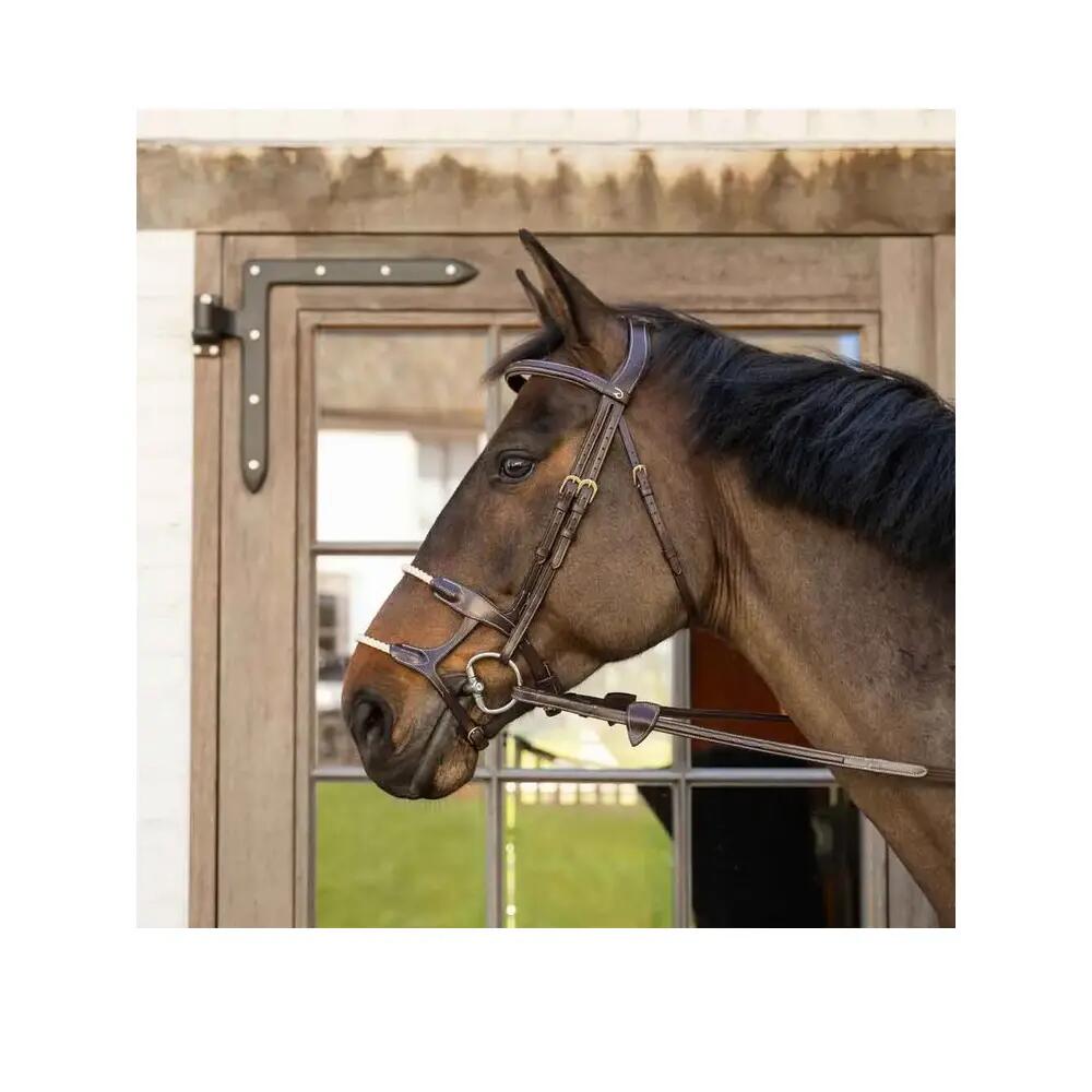 Double Horse Bridle with Rope Dy'on 8/8