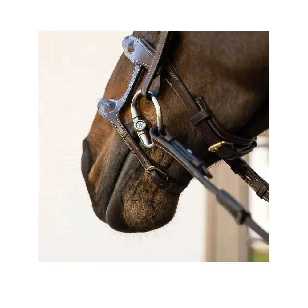 Double Horse Bridle with Rope Dy'on 7/8