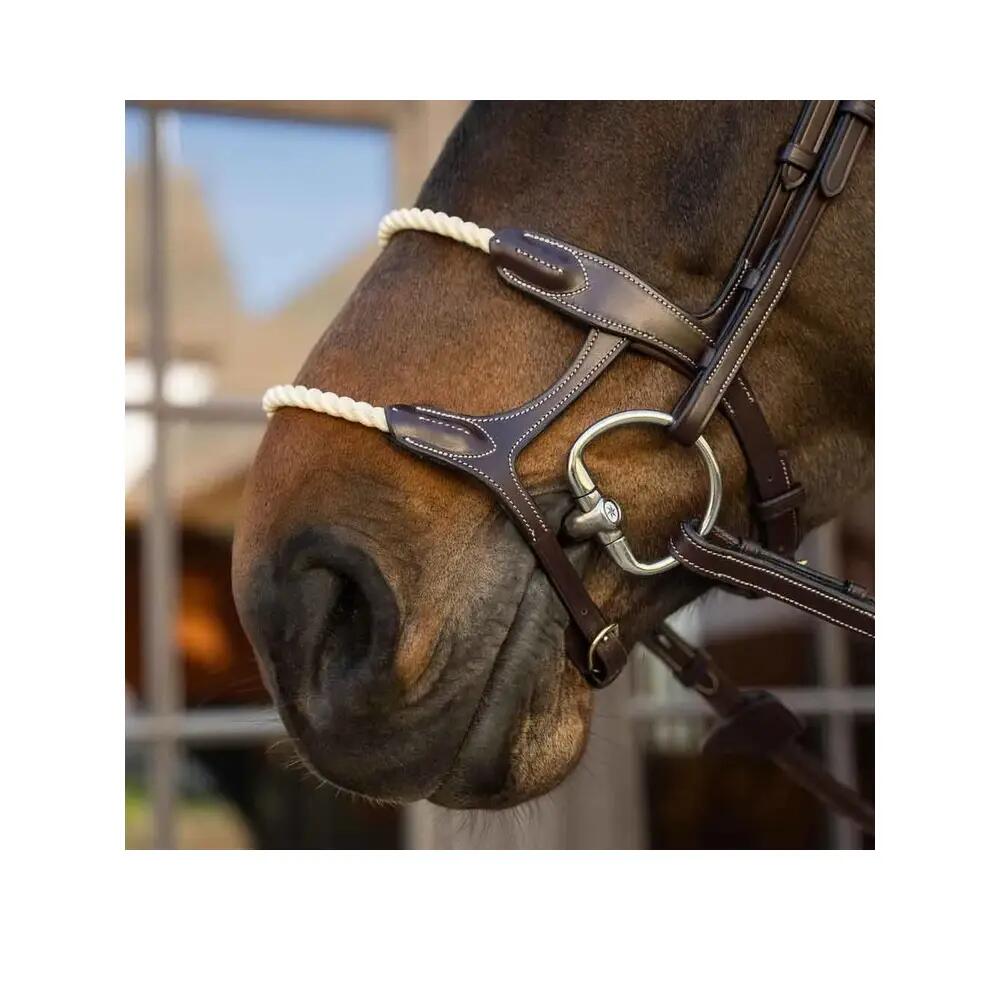 Double Horse Bridle with Rope Dy'on 6/8
