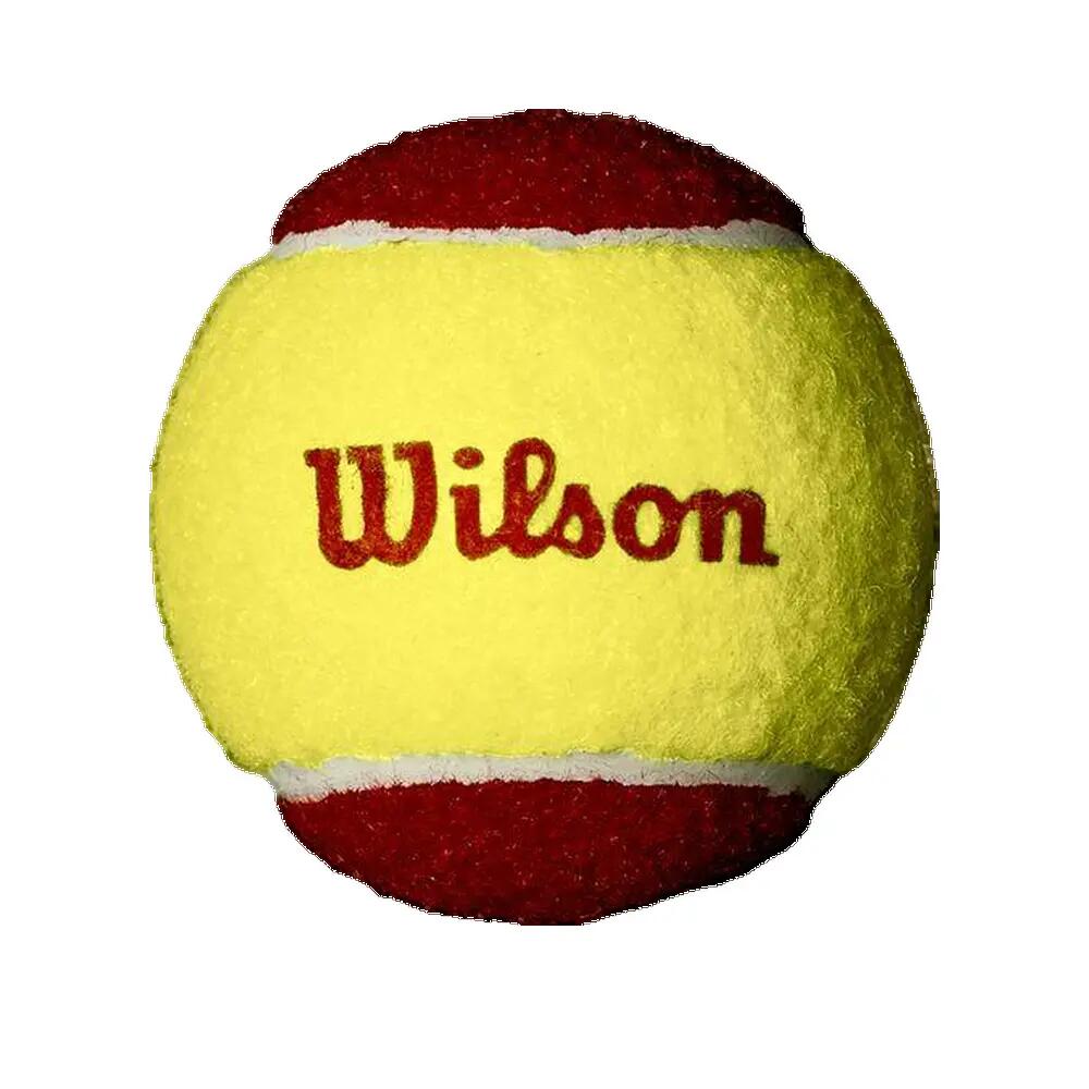 Pack de 36 pelotas de tenis Wilson Starter 3/3