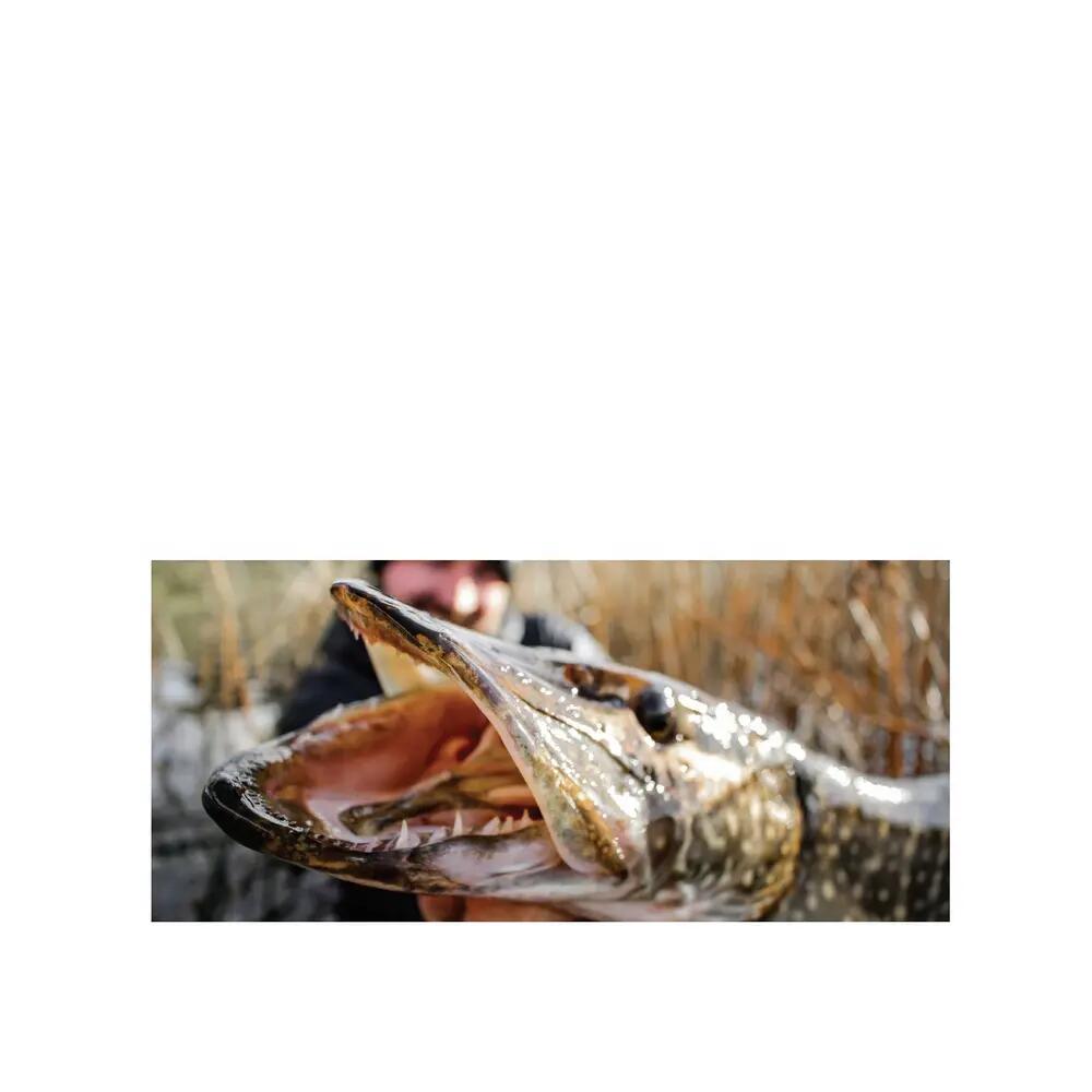 Fil de pêche Savage Gear Regenerator Transparent 4/7