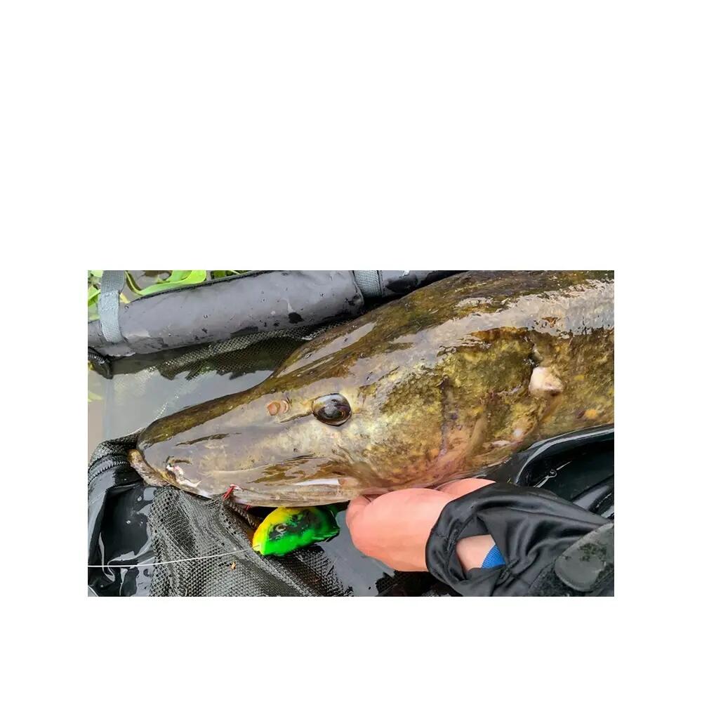 Fil de pêche Savage Gear Regenerator Mono Transparent 6/6
