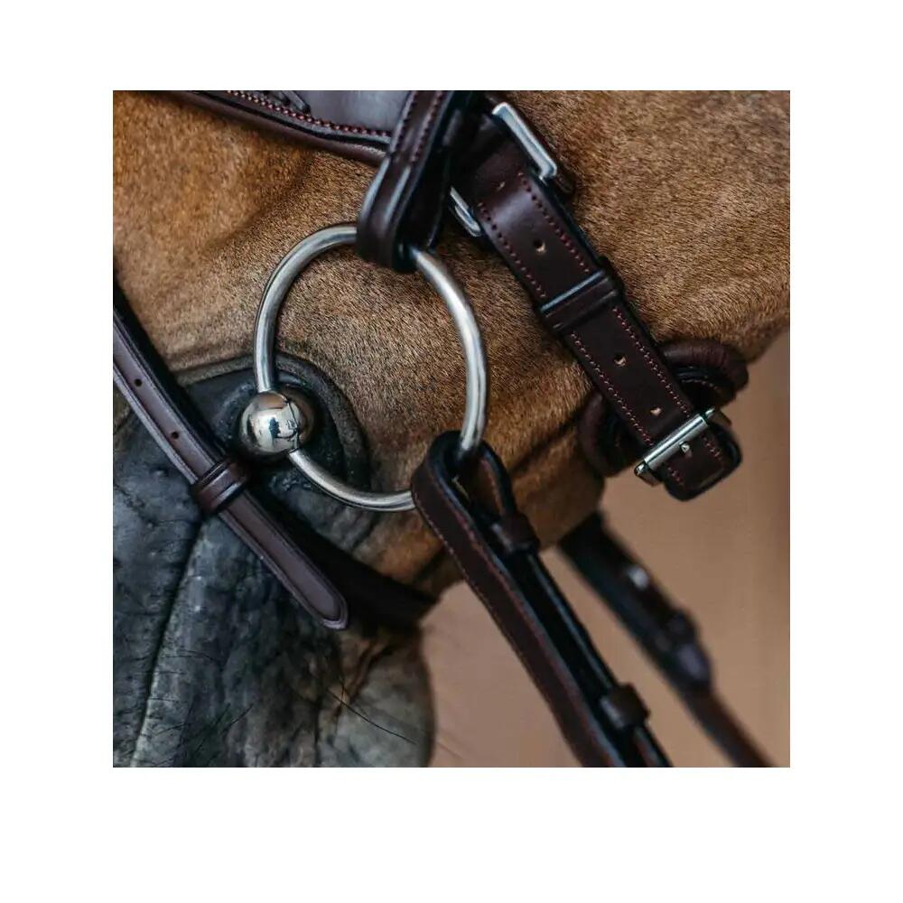 Combinat bridle met pull-back neusriem Dy'on Medium 3/3