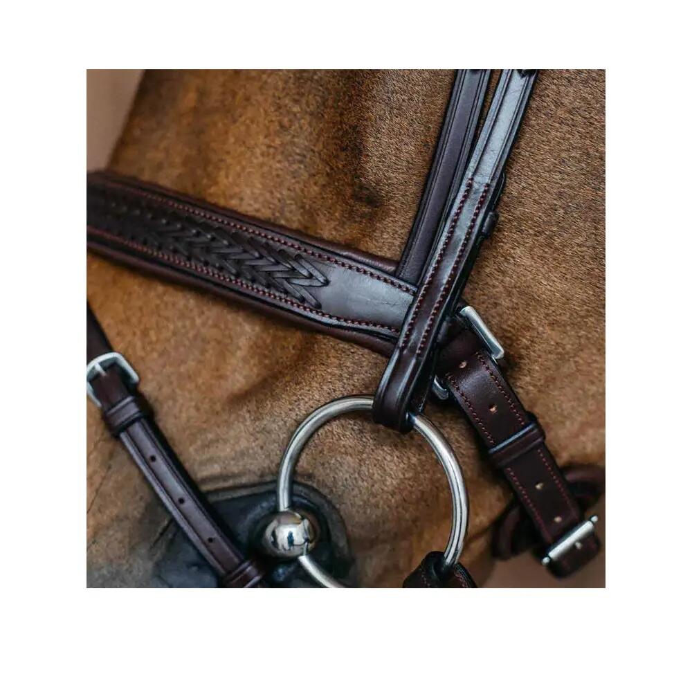 Combinat bridle met pull-back neusriem Dy'on Medium 2/3