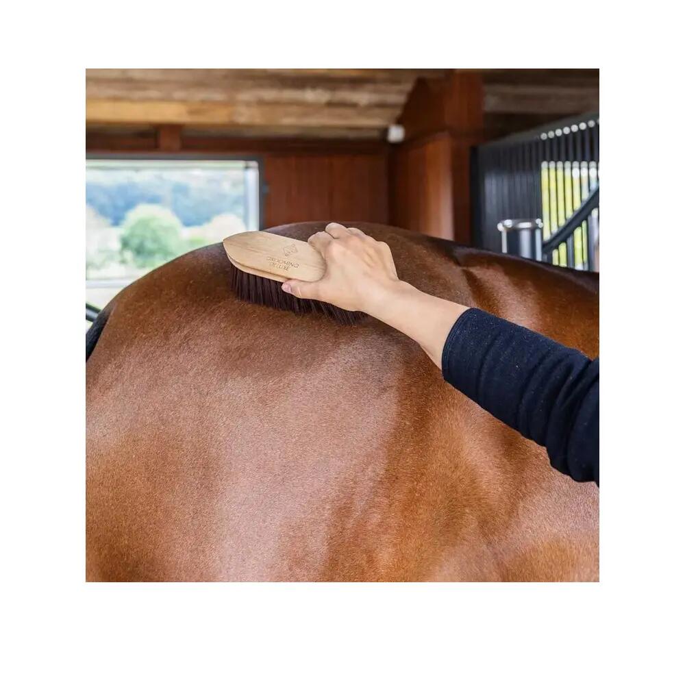Cepillo para caballo de madera Grooming Deluxe Classic medium 6/6