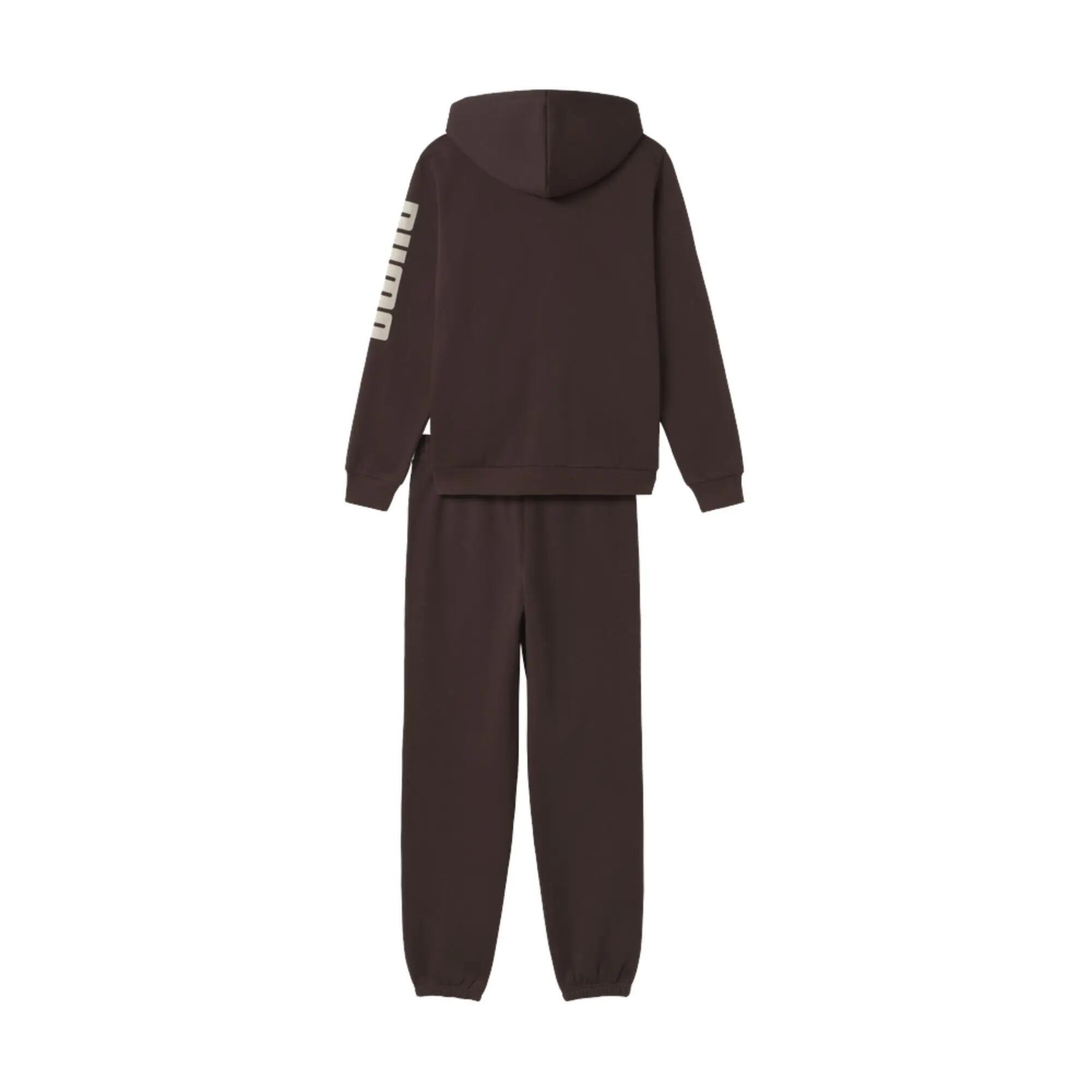 Puma - Heren Trainingspak Capuchon en Rits Essential Graphic Fleece, Bruin 2/3
