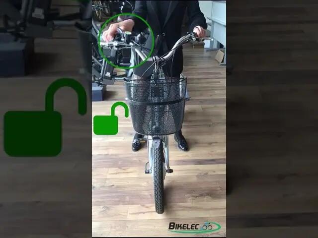 Eureka (360Wh/36V) - Triciclo Eléctrico para Adultos con inclinación 3/6
