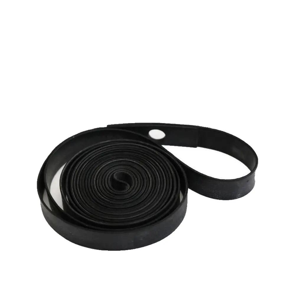 SCHWALBE picture