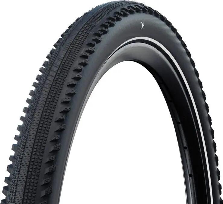 SCHWALBE picture