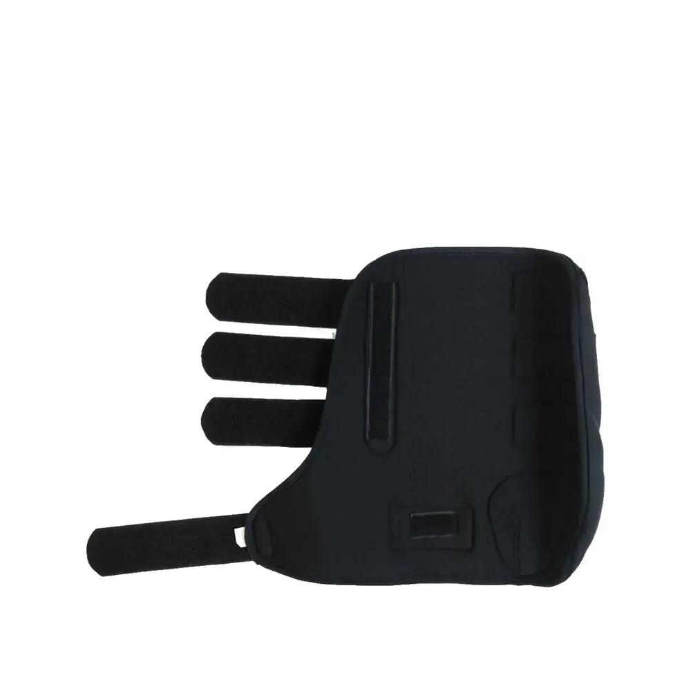 Coque extérieure de transport pour cheval droite Kentucky 2/2