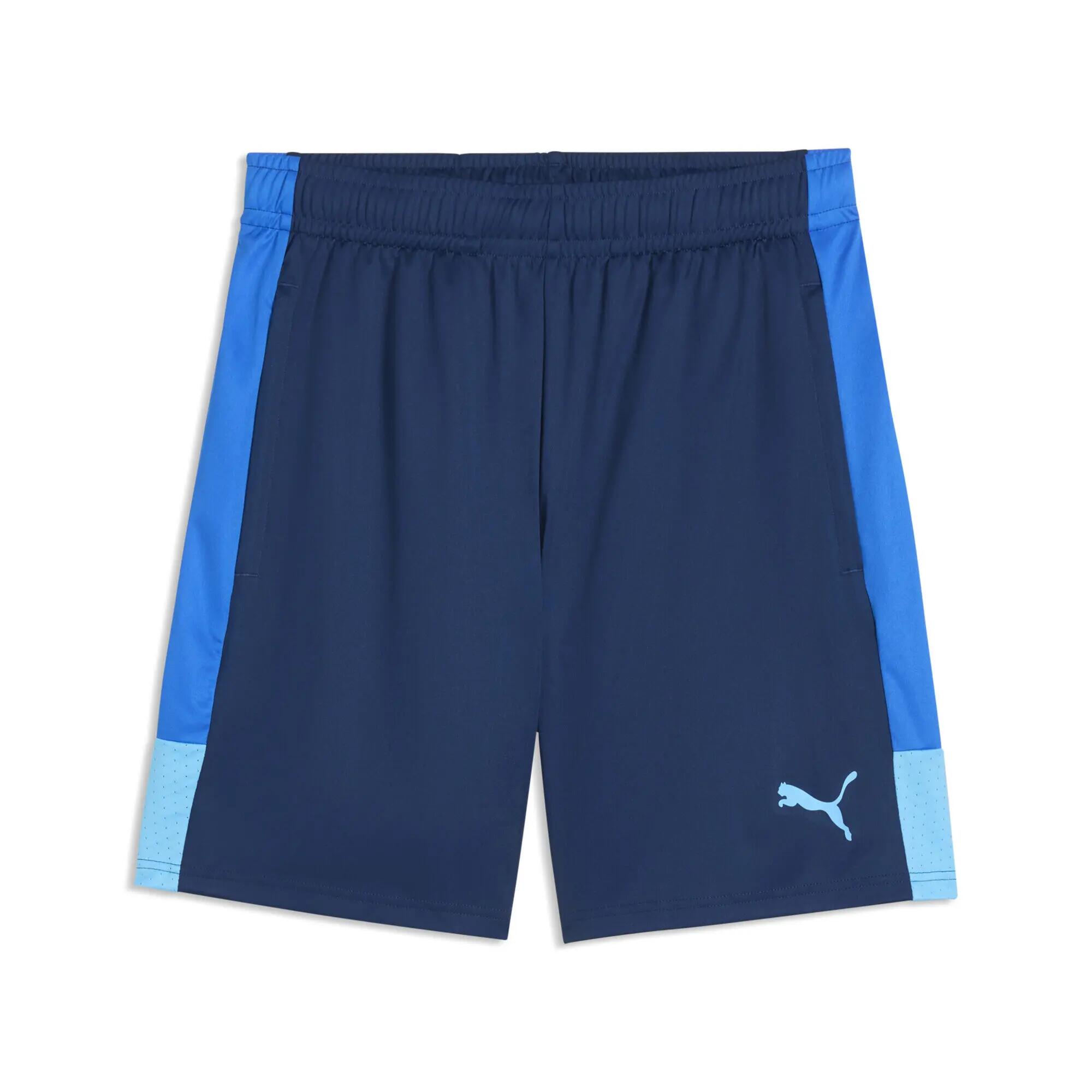 PUMA picture