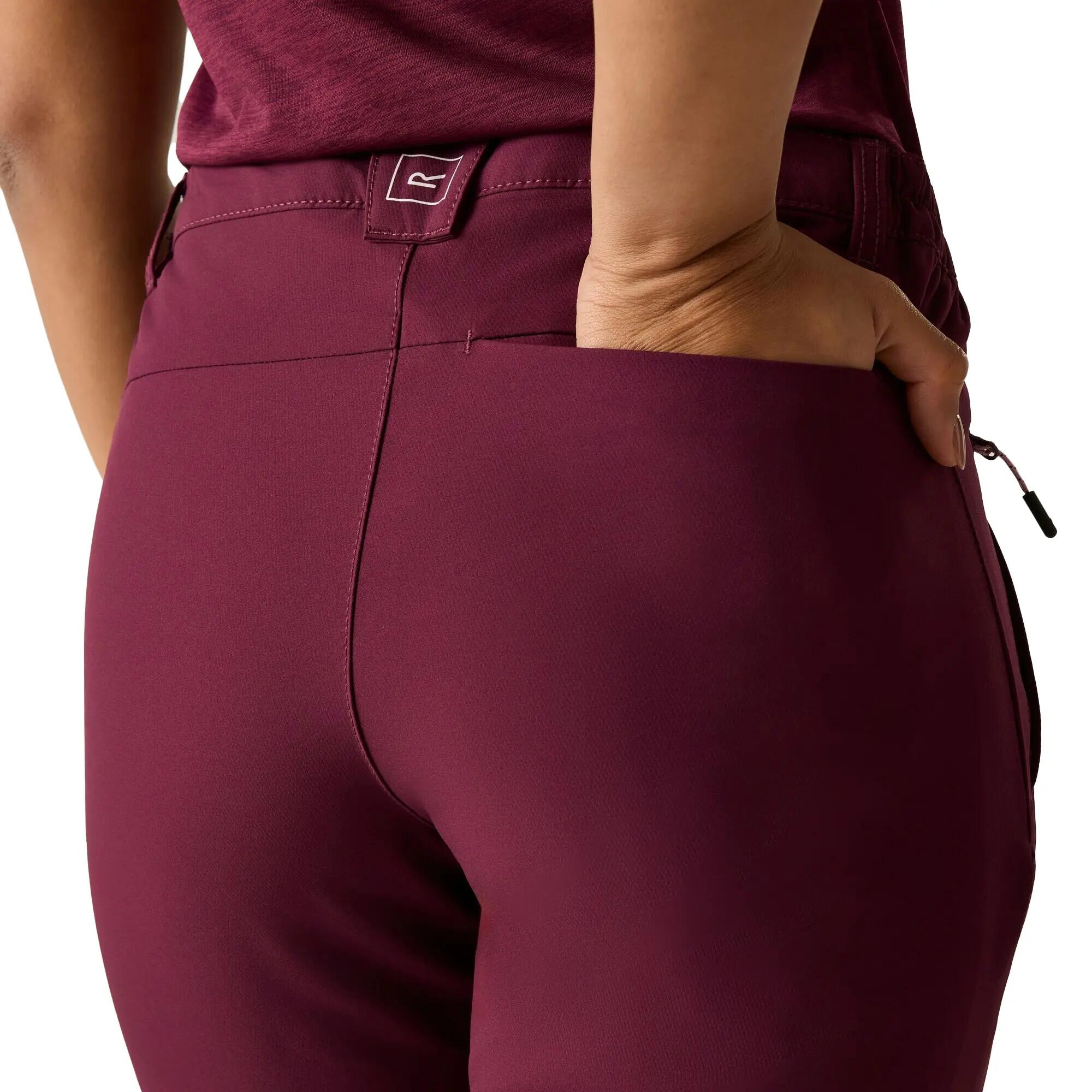 Pantalones de Senderismo Questra V para Mujer Higo 7/7