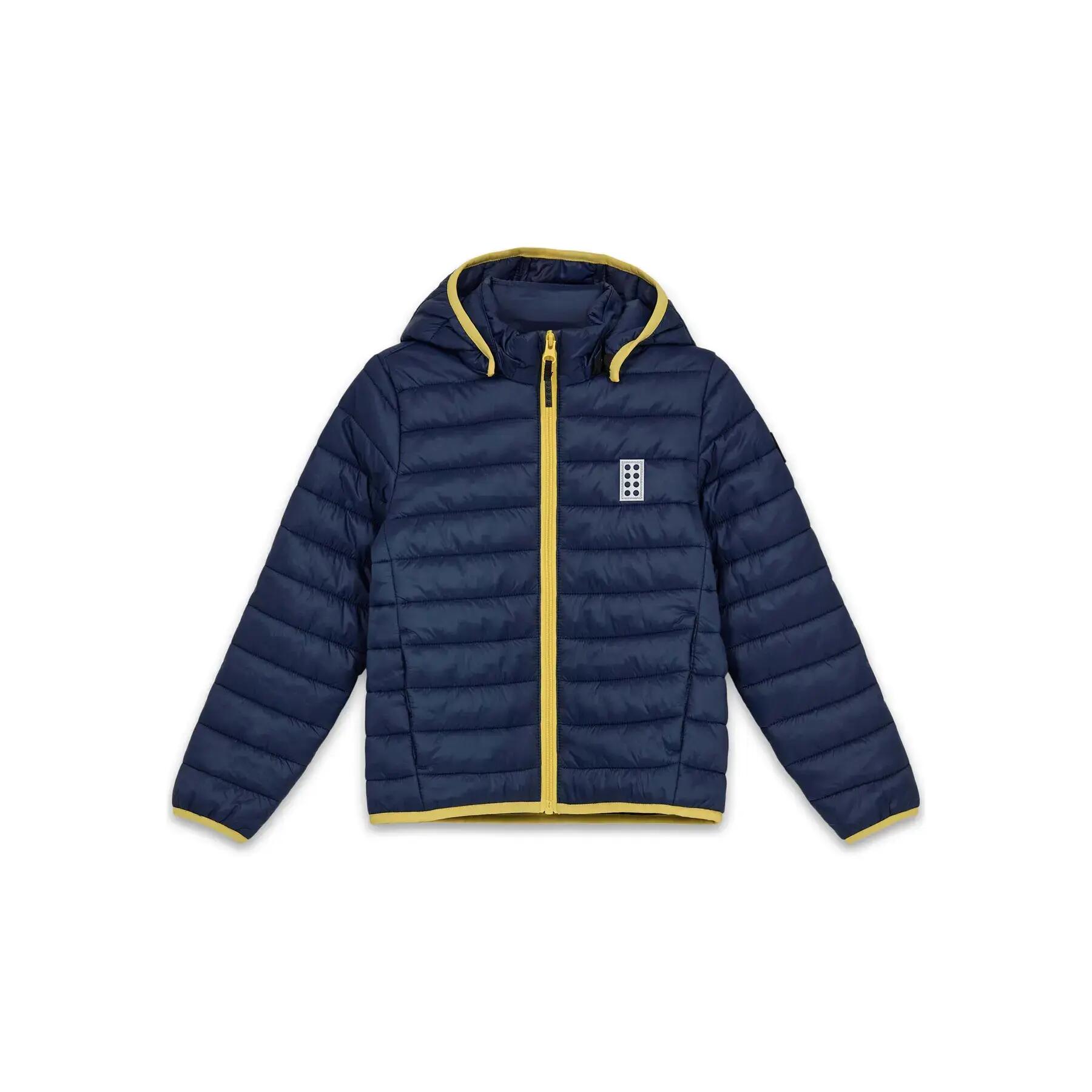 LEGO picture