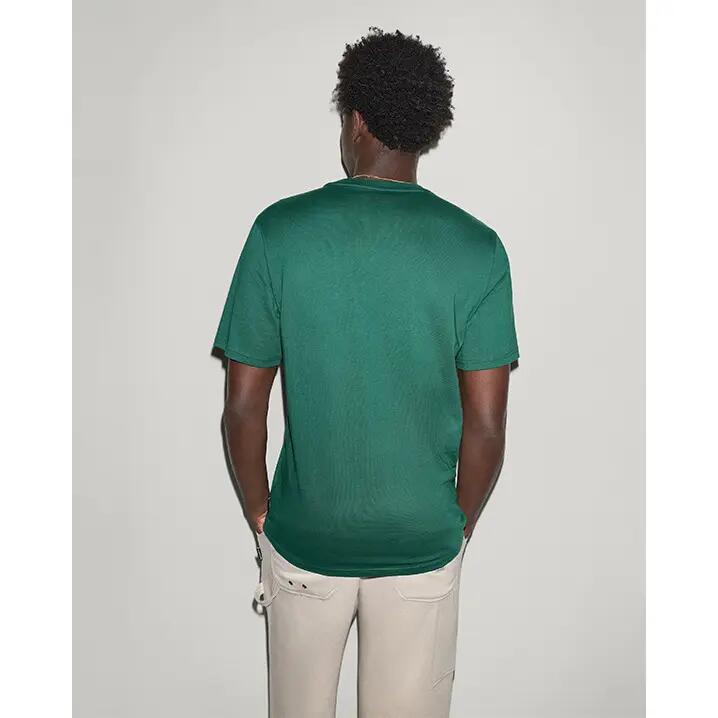 Camiseta Converse Fighting Bear Tee, Verde, Unisexo 2/5