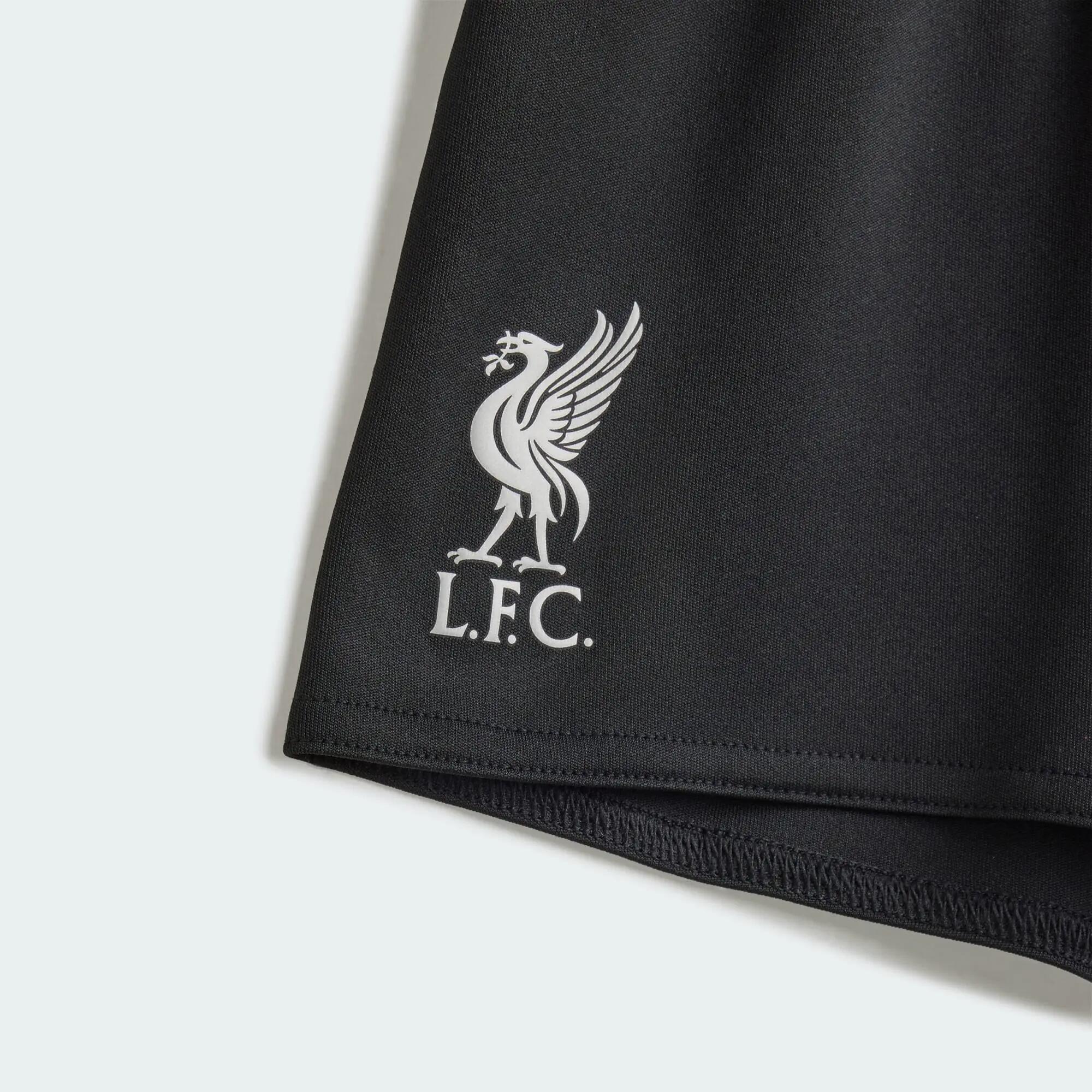 Divisa Baby Third Liverpool FC 26/27 5/5