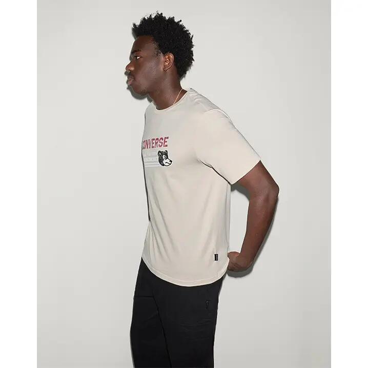 Koszulka Converse Fighting Bear Tee 5/5