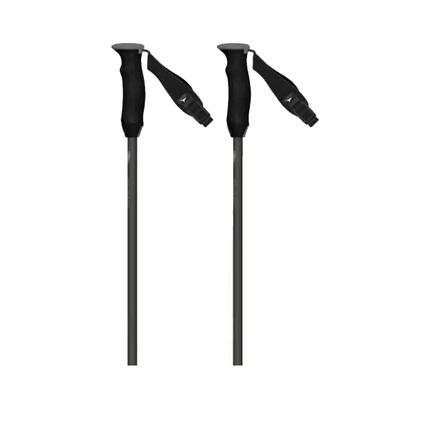 Bâtons de ski Atomic Revent Carbon Argent