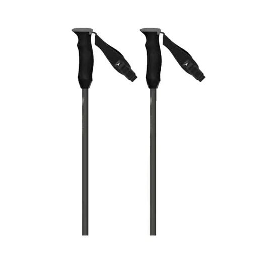 Bâtons de ski Atomic Revent Carbon Argent