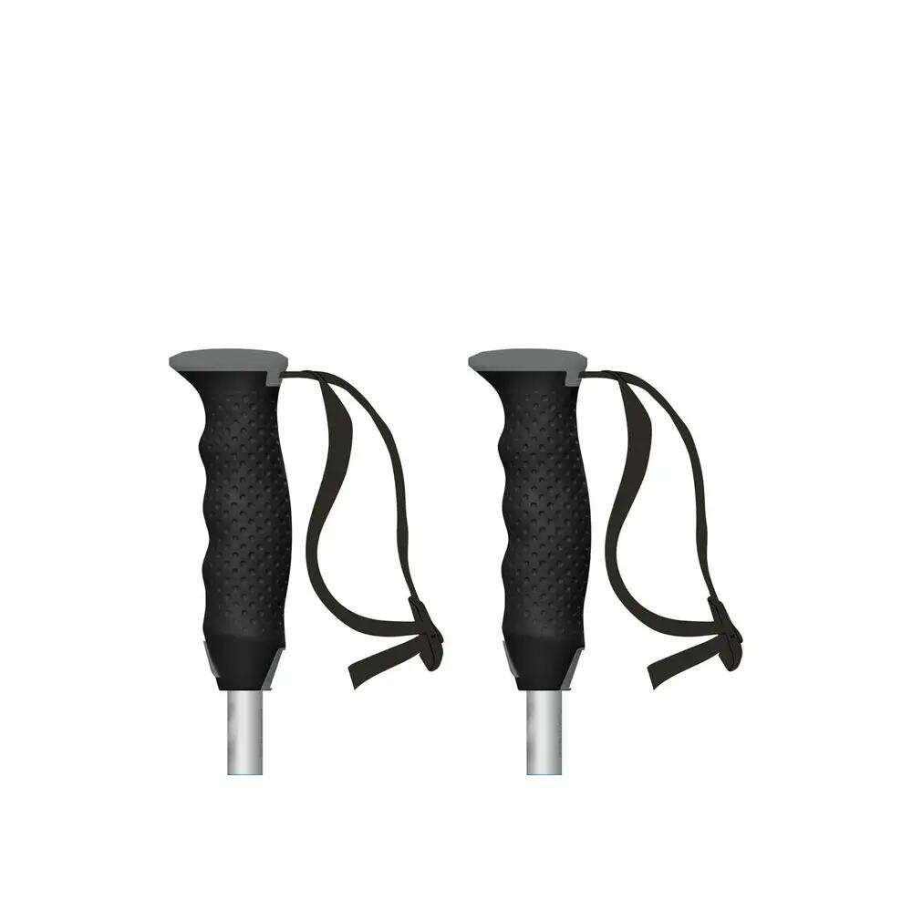 Bâtons de ski Atomic Redster 5/7