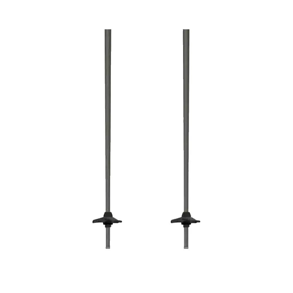 Skistokken Atomic Revent Carbon Zilver 4/6