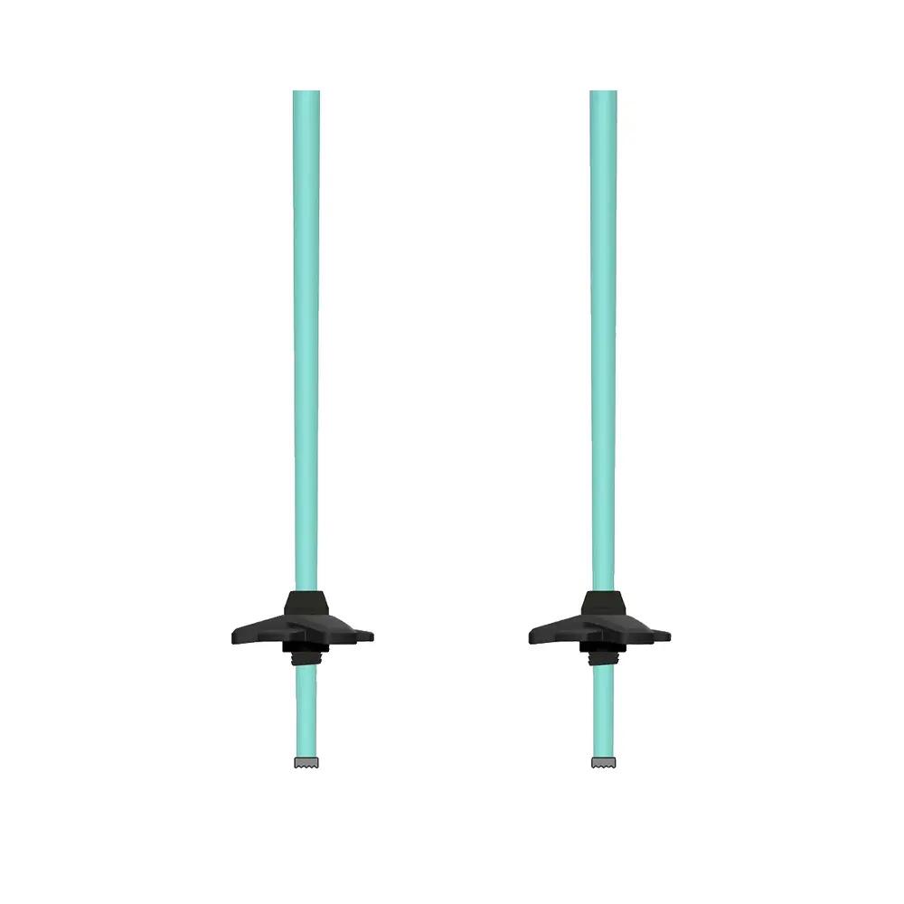 Bâtons de ski Atomic Redster 4/7