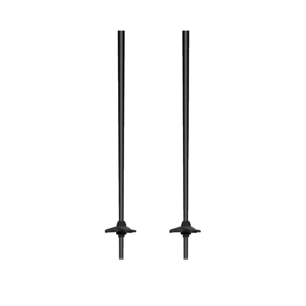 Bâtons de ski Atomic Revent 4/7