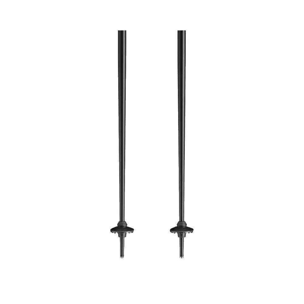 Bâtons de ski Leki QNTM 4/10