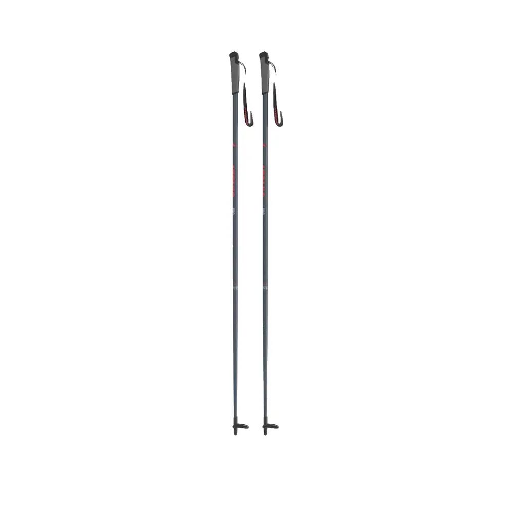 Bâtons de ski Atomic Pro Junior Argent 2/9