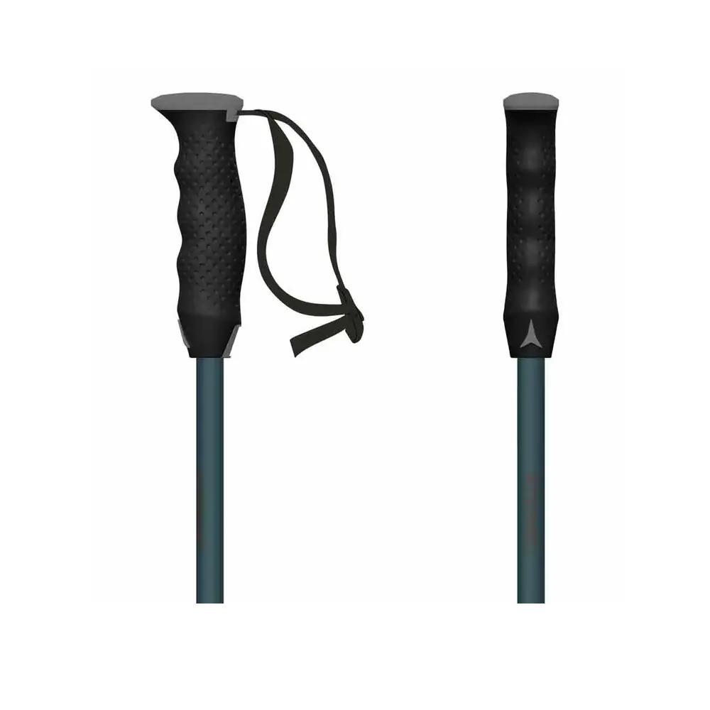 Ski Stokken Atomic Redster Q Zilver 7/7