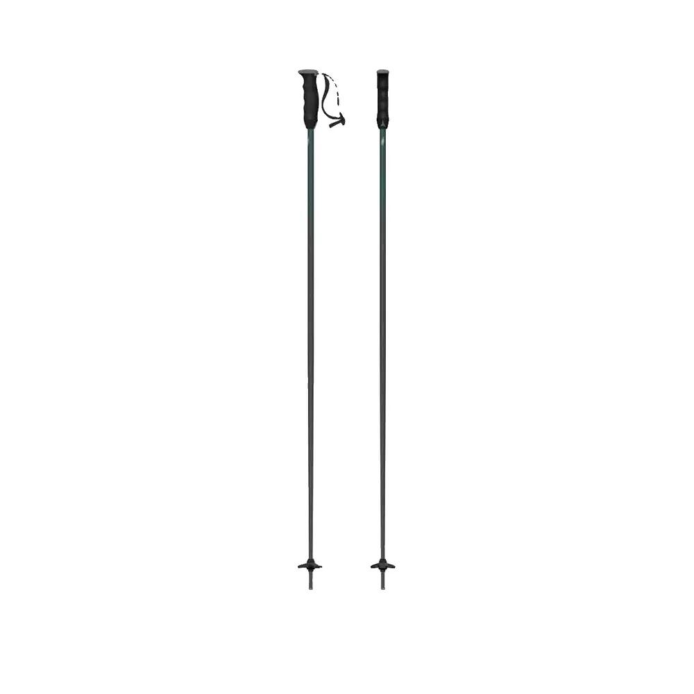 Ski Stokken Atomic Redster Q Zilver 6/7