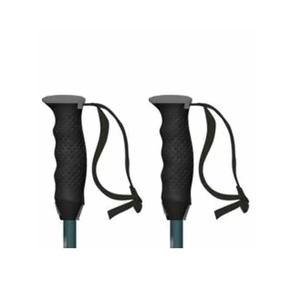 Ski Stokken Atomic Redster Q Zilver 5/7