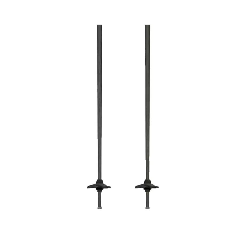 Ski Stokken Atomic Redster Q Zilver 4/7