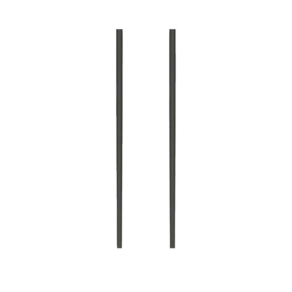 Ski Stokken Atomic Redster Q Zilver 3/7