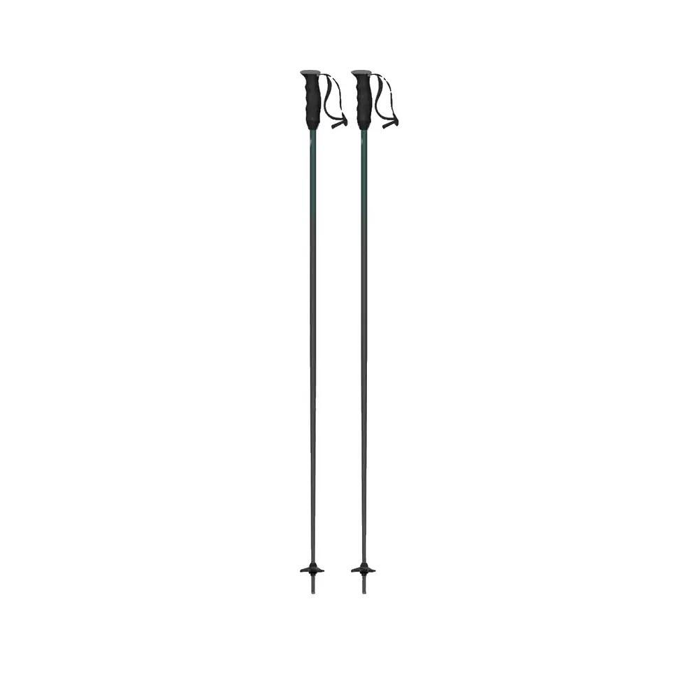 Ski Stokken Atomic Redster Q Zilver 2/7