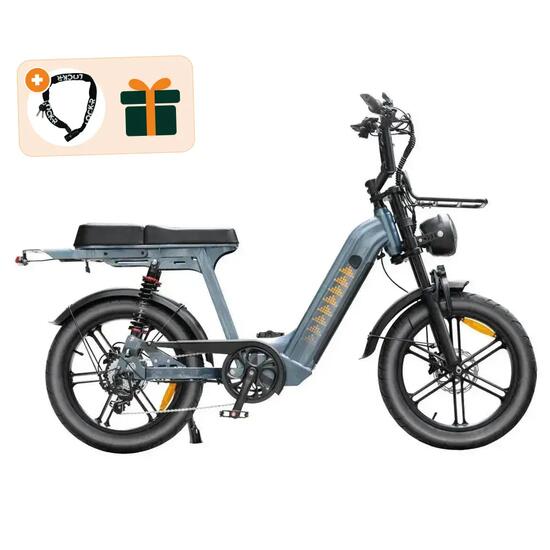 V20 Comfort Pro - Fatbike électrique - 20 pouces - 250W - 720Wh - Gris Nardo