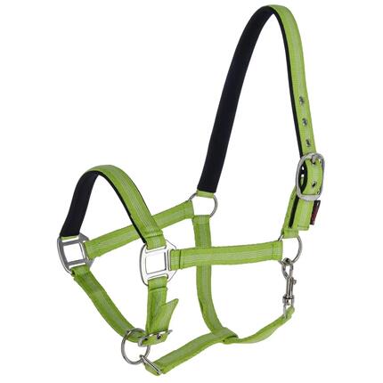 Licol pour cheval Kerbl Mustang