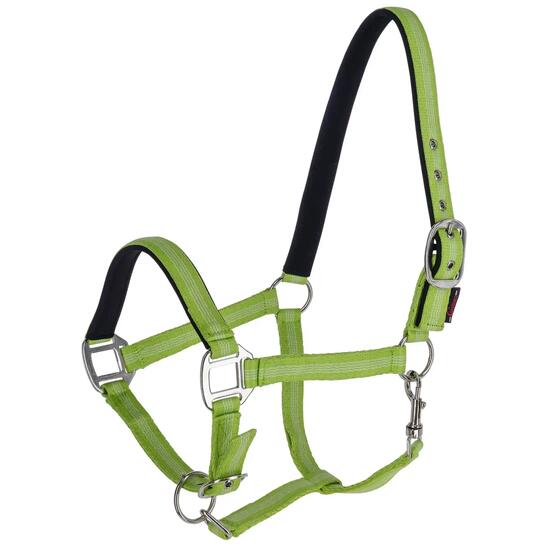 Licol pour cheval Kerbl Mustang