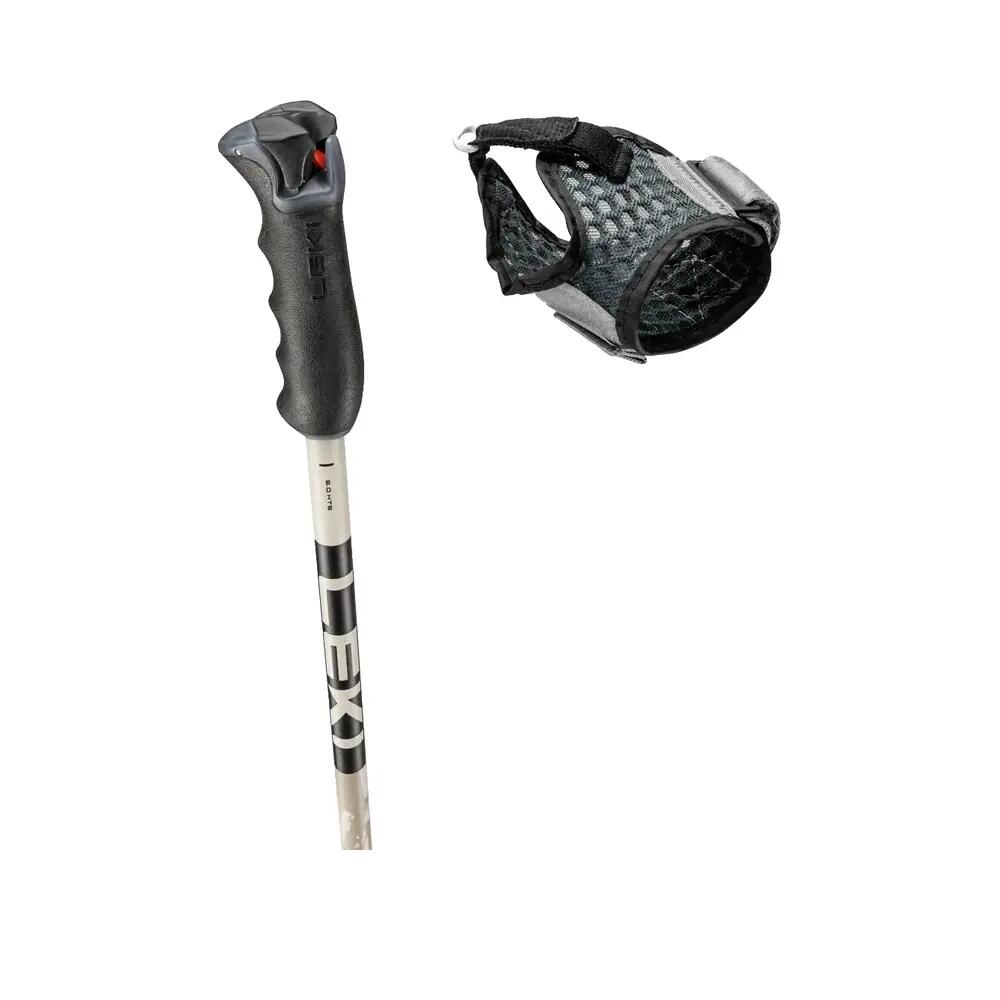 Bâtons de ski Leki Detect S Argent 8/8