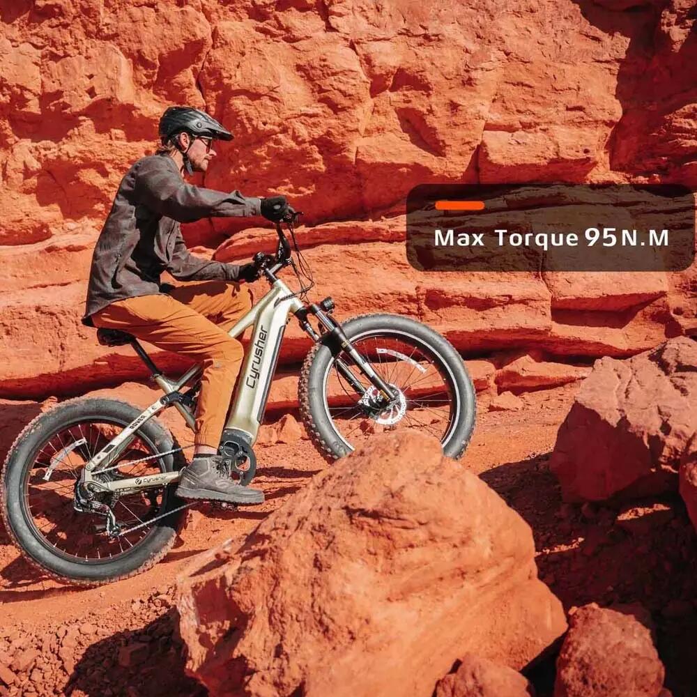 Adult Electric Bike Rover |52V 15.6Ah Battery| 26×4.0” Tires 5/6