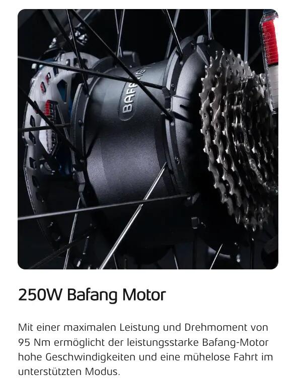 Electric bike Cyrusher Trax 2.0, Motor 250W, 52V 20Ah Battery, Tires 26" 4/6