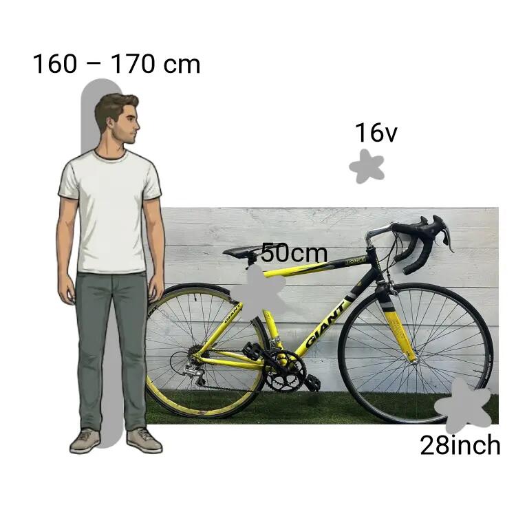 Gebraucht Giant Once 2/4