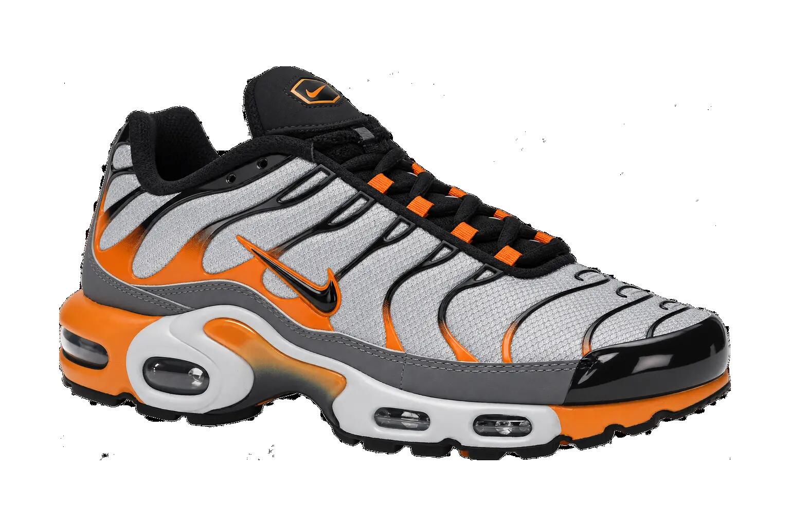 Nike Air Max Plus Wolf Grey Hot Curry - men's trainers, EU 38.5 - grey 1/1