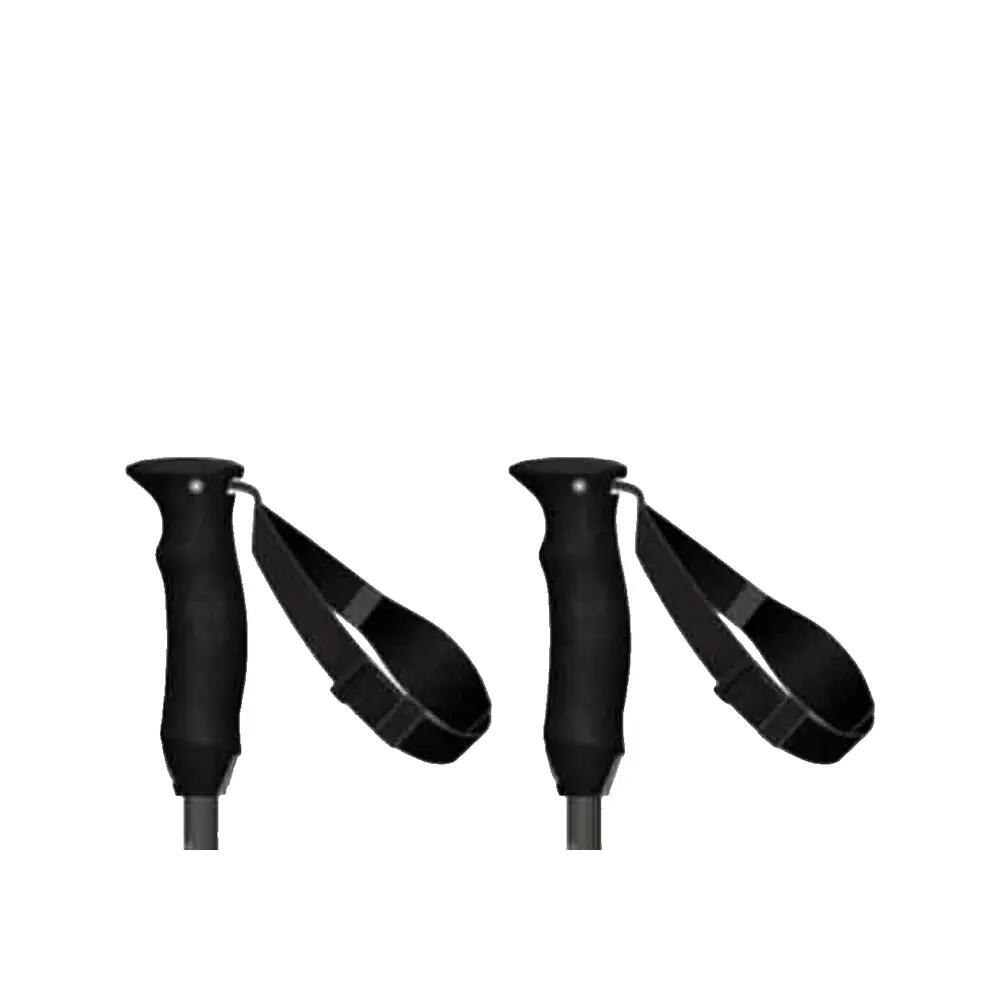 Bâtons de ski Atomic Revent Carbon Lite 5/6