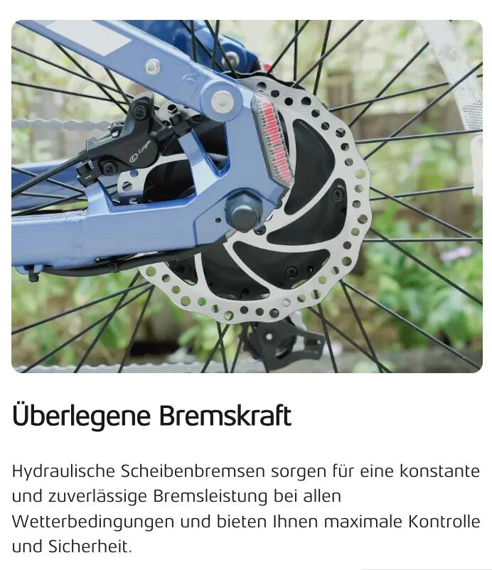 Elektrofahrrad Cyrusher Rover, 250W Motor, 52V 15,6Ah Akku, 26" Reifen 6/8