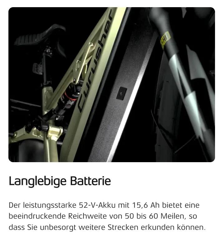 Elektrofahrrad Cyrusher Rover, 250W Motor, 52V 15,6Ah Akku, 26" Reifen 5/8