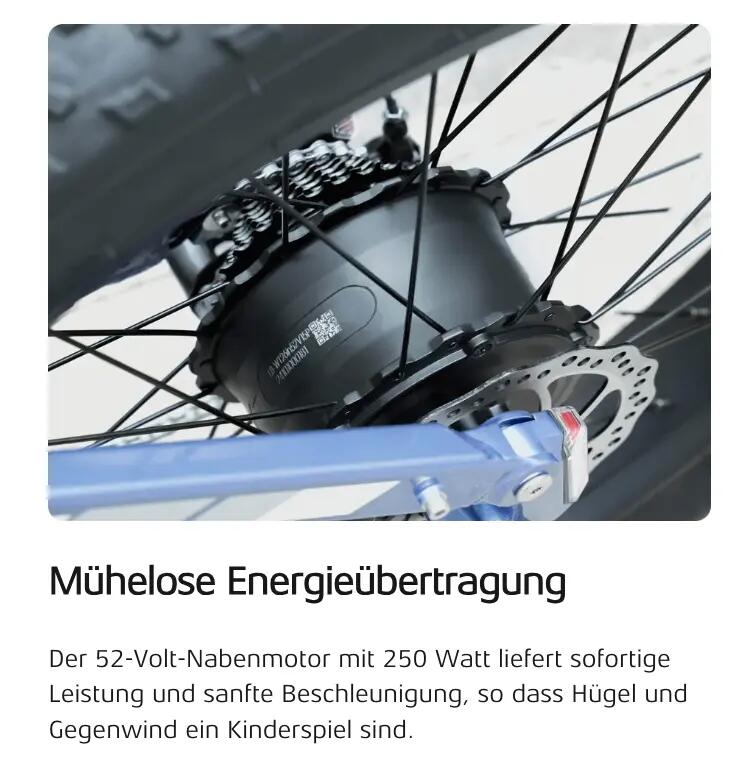 Elektrofahrrad Cyrusher Rover, 250W Motor, 52V 15,6Ah Akku, 26" Reifen 4/8